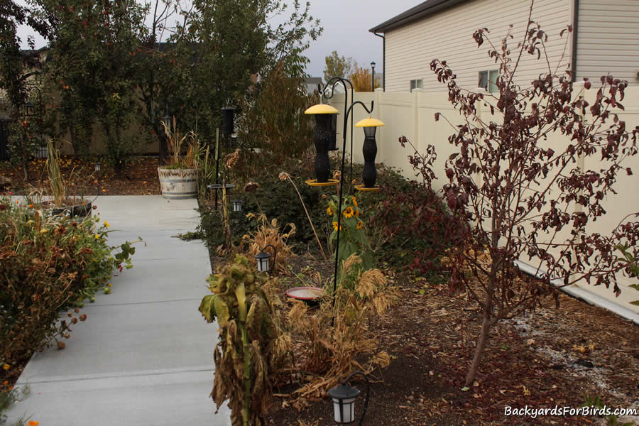 backyard cover for birds.