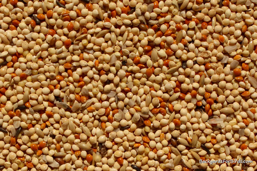 millet seed mixture