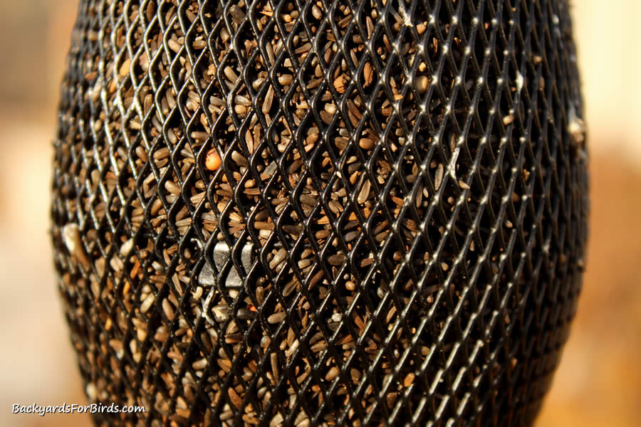 close up of a nyjer goldfinch feeder