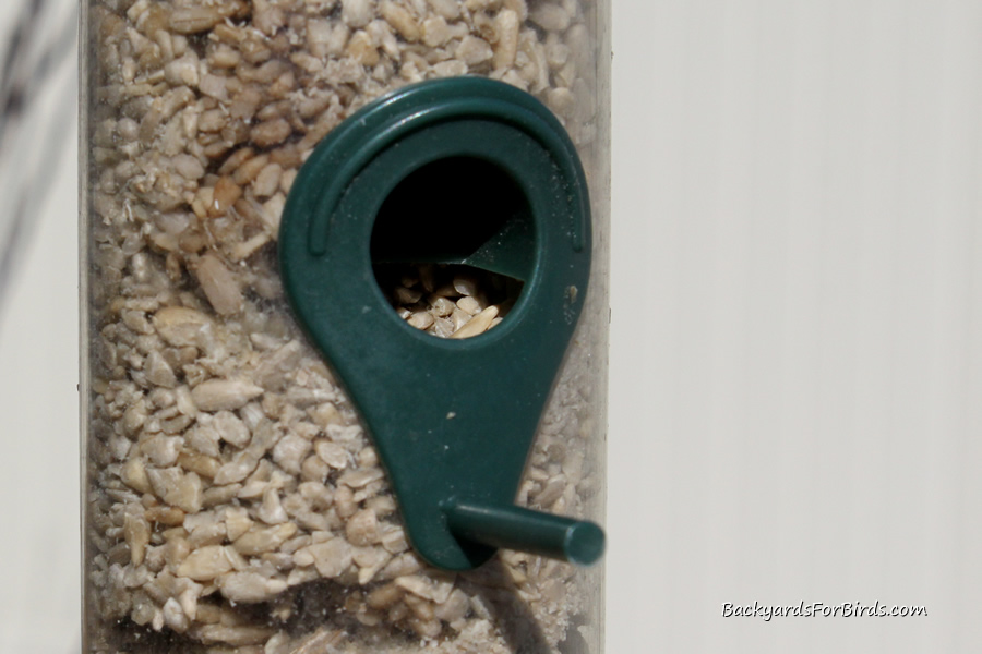 tube feeder filled with shelled sunflower seeds