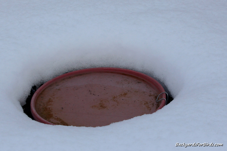 GESAIL 75 w heated bird bath in the snow