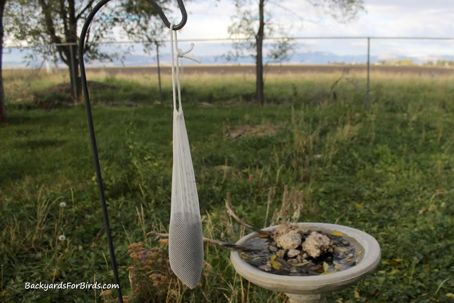 finch sock feeder hanging next to a bird bath