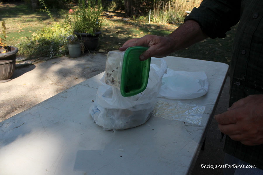 shake the container to help separate the milkweed seeds from the silk